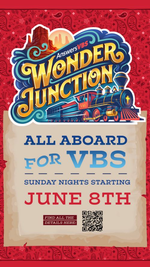 VBS 3